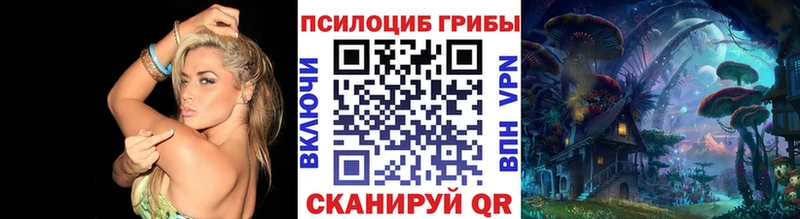 mega сайт  Шлиссельбург  Галлюциногенные грибы Cubensis  закладки 